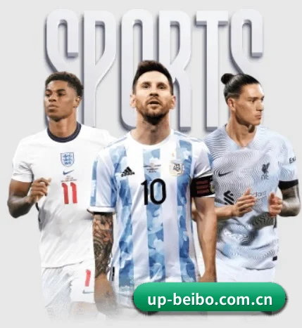 五大服务分区,信息按项目分类