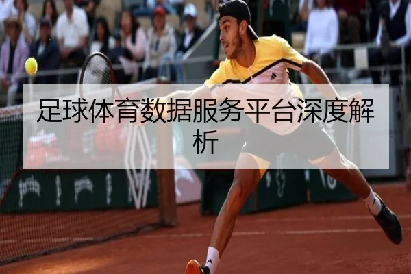 足球体育数据服务平台深度解析