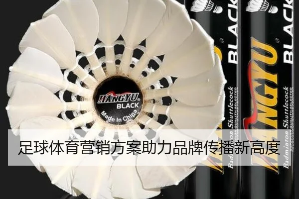 足球体育营销方案助力品牌传播新高度
